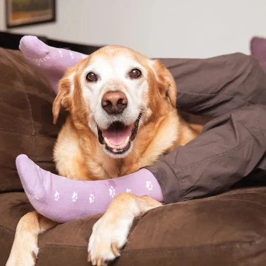Dog Socks