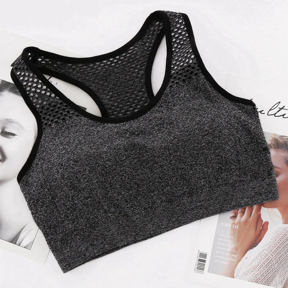 Seamless Mesh Sports Bra - Shockproof Yoga Top