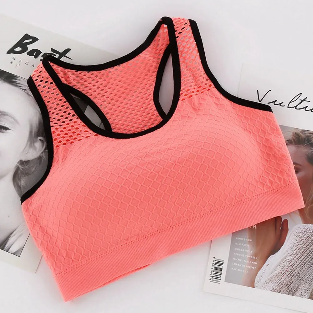 Seamless Mesh Sports Bra - Shockproof Yoga Top