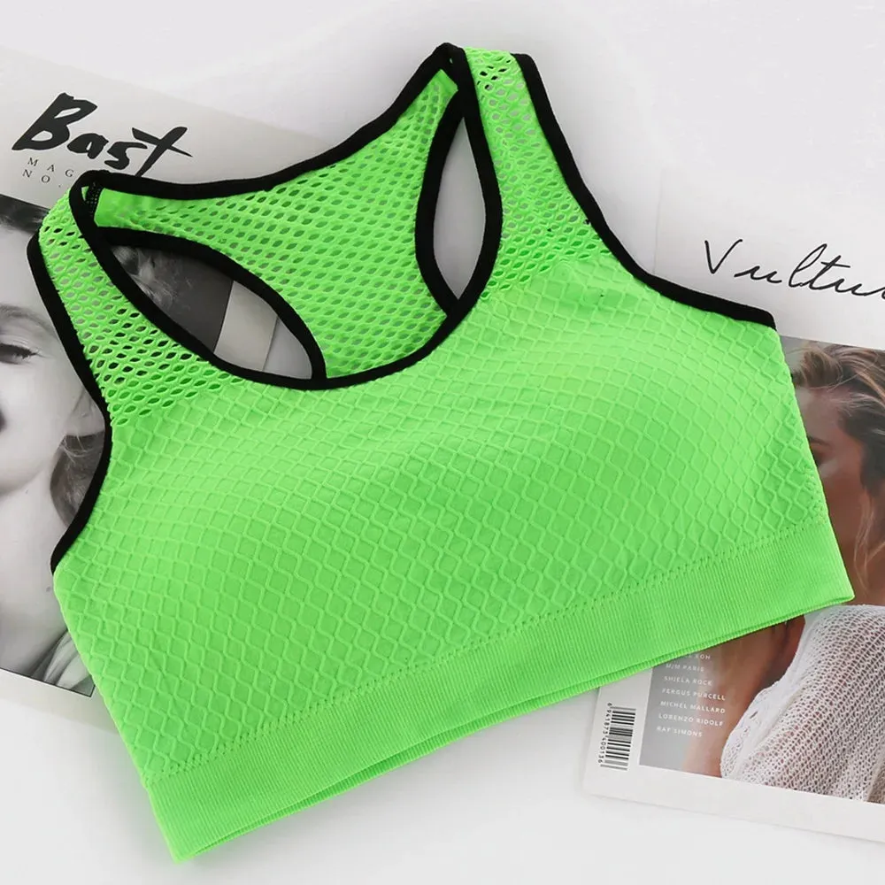 Seamless Mesh Sports Bra - Shockproof Yoga Top