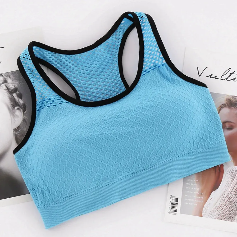 Seamless Mesh Sports Bra - Shockproof Yoga Top